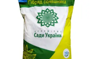 NS H 7256 / НС Х 7256