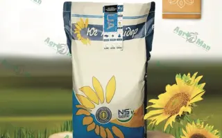 NS H 195 / НС Х 195