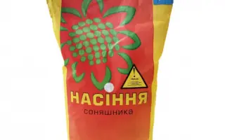 NS H 494 / НС Х 494