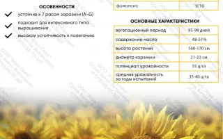 NS H 6054 / НС Х 6054