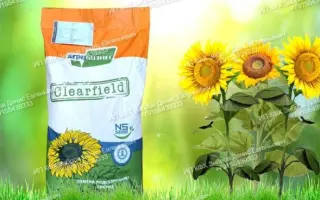 NS H 6343 / НС Х 6343