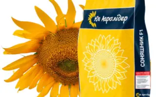 NS H 6749 / НС Х 6749