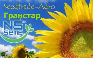 NS H 7370 / НС Х 7370