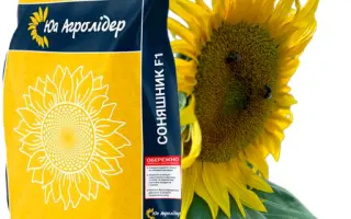 NS H 7802 / НС Х 7802