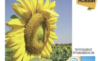 NS H 7882 / НС Х 7882