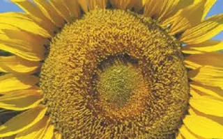 NS H 7884 / НС Х 7884