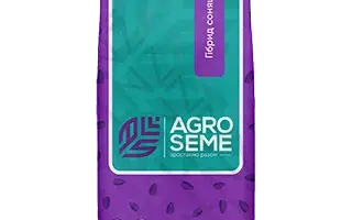 NS H 7900 / НС Х 7900