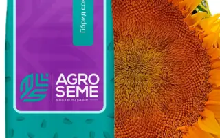 NS H 7902 / НС Х 7902