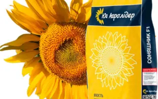 NS H 7916 / НС Х 7916