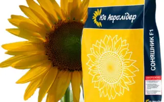 NS H VLSP / НС Х ВЛСП