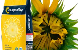 NS-H-6045 / НС-Х-6045