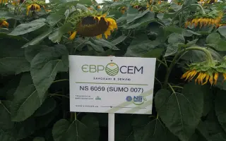 NS-H-6059 / НС-Х-6059