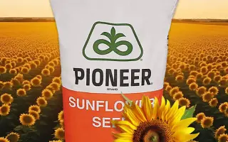 P64BB01 / П64ББ01