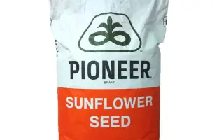 Р64НЕ118 / П64ГЕ118