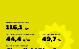 PRETORIA CLP / ПРЕТОРІЯ КЛП