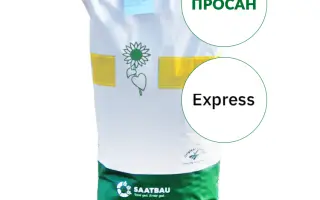 Prosun / Просан