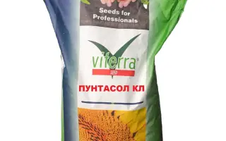 Puntasol CL / Пунтасол КЛ