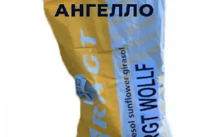 RGT ANGELLO / РЖТ АНГЕЛЛО