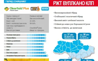 RGT VOLLCANO CLP / РЖТ ВУЛЛКАНО КЛП