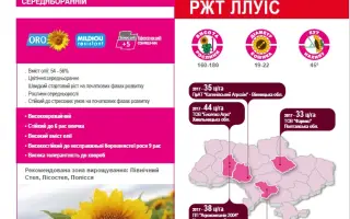 RGT LLUIS / РЖТ ЛЛУІС