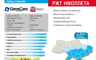 RGT NICOLLETA / РЖТ НІКОЛЛЕТА