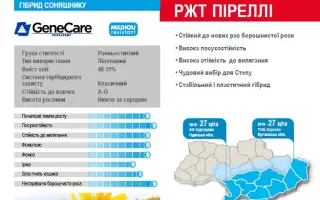 RGT PIRELLI / РЖТ ПІРЕЛЛІ