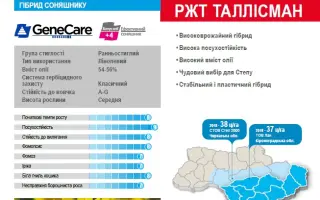RGT TALLISMAN / РЖТ ТАЛЛІСМАН