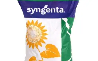 Roquette / Рокетт