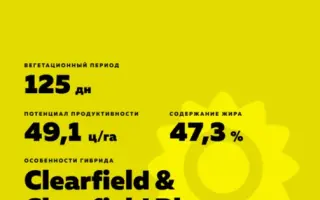 SAMMY CLP / СЕММІ КЛП