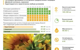 SY AVENGER / СИ АВЕНЖЕР