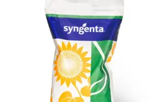 SY Arisona / СИ Арізона