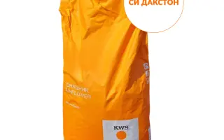 SY DAXTON / СИ ДАКСТОН