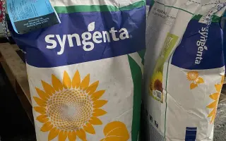 SY Diamantis / СИ Діамантіс