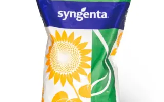 SY Lascala / СИ Ласкала