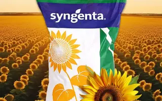 SY Neostar CLP / СИ Неостар КЛП