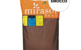 Sirocco / Сірокко