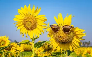 Спрінгфілд