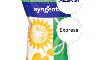 SUVANGO / СУВАНГО