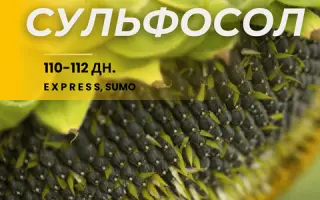 Sulfosol / Сульфосол