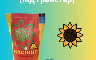 SUNARIS / СУНАРІС