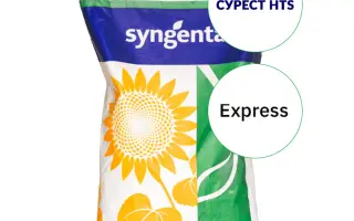 SUREST / СУРЕСТ