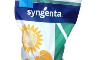 Tristan / Трістан