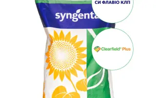 FABULO CLP / ФАБУЛО КЛП