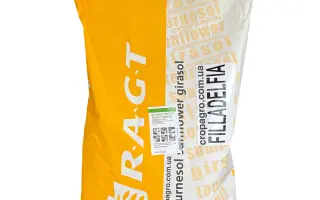 FILLADELFIA / ФІЛЛАДЕЛЬФІЯ