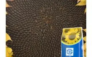 FLORMASTER IR / ФЛОРМАСТЕР ІР