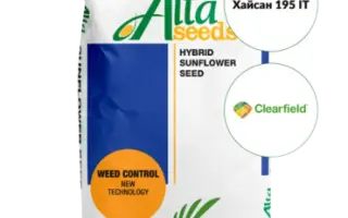 Hysun 195 IT / Хайсан 195 ІТ