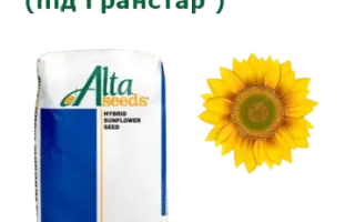 Hysun 310 SU / Хайсан 310 СУ