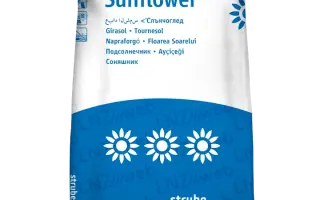 CELSO ST / ЦЕЛСО ШТ