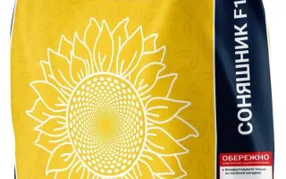 Ювілей СГІ 100