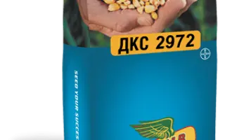 Alambra CS / Аламбра КС